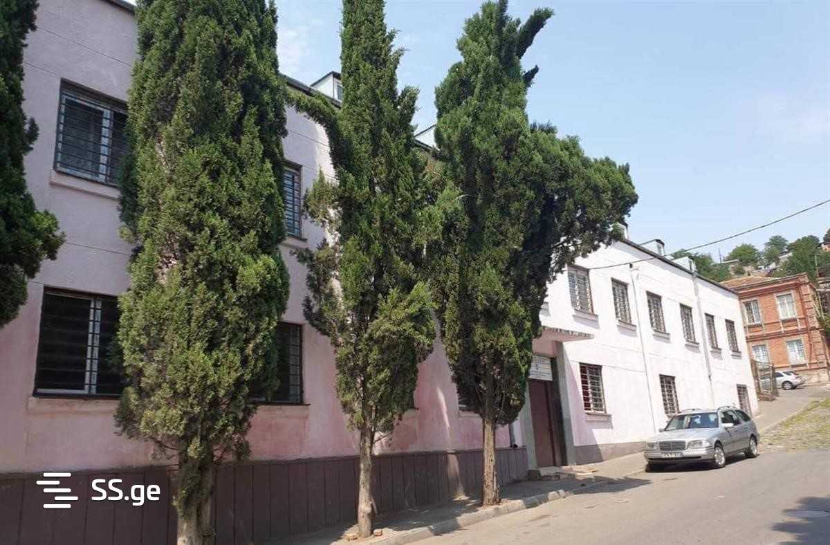Commercial Space For Sale. Nadzaladevi, 4 of 4
