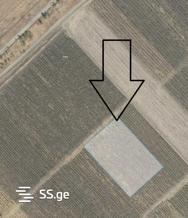 Land For Sale. Signagi view 4