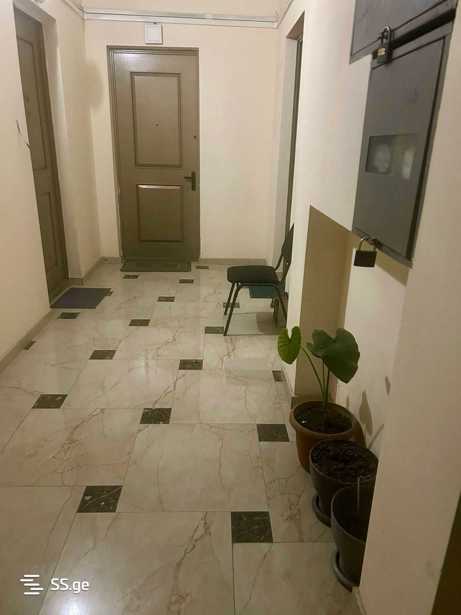 https://static.ss.ge/20260314/14_c1019ce9-683a-4f98-8b29-c56cd4d53b3f_Thumb.jpg