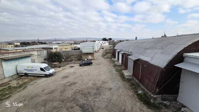 https://static.ss.ge/20260314/18_d620c40f-b429-4718-b9ae-d3c4967969bb_Thumb.jpg