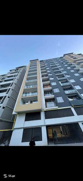 https://static.ss.ge/20260314/3_f78089db-d27a-44b2-8703-02e9c8ee31e6_Thumb.jpg