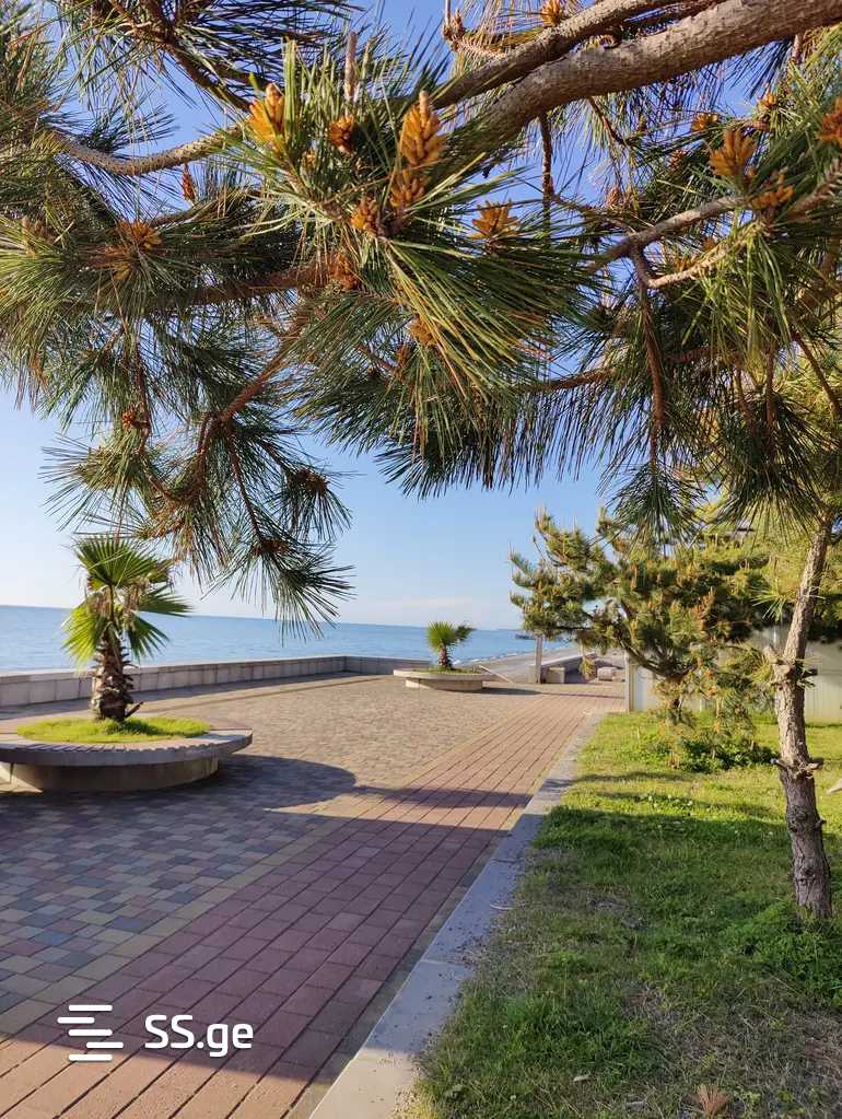 Land For Sale. Batumi view 3
