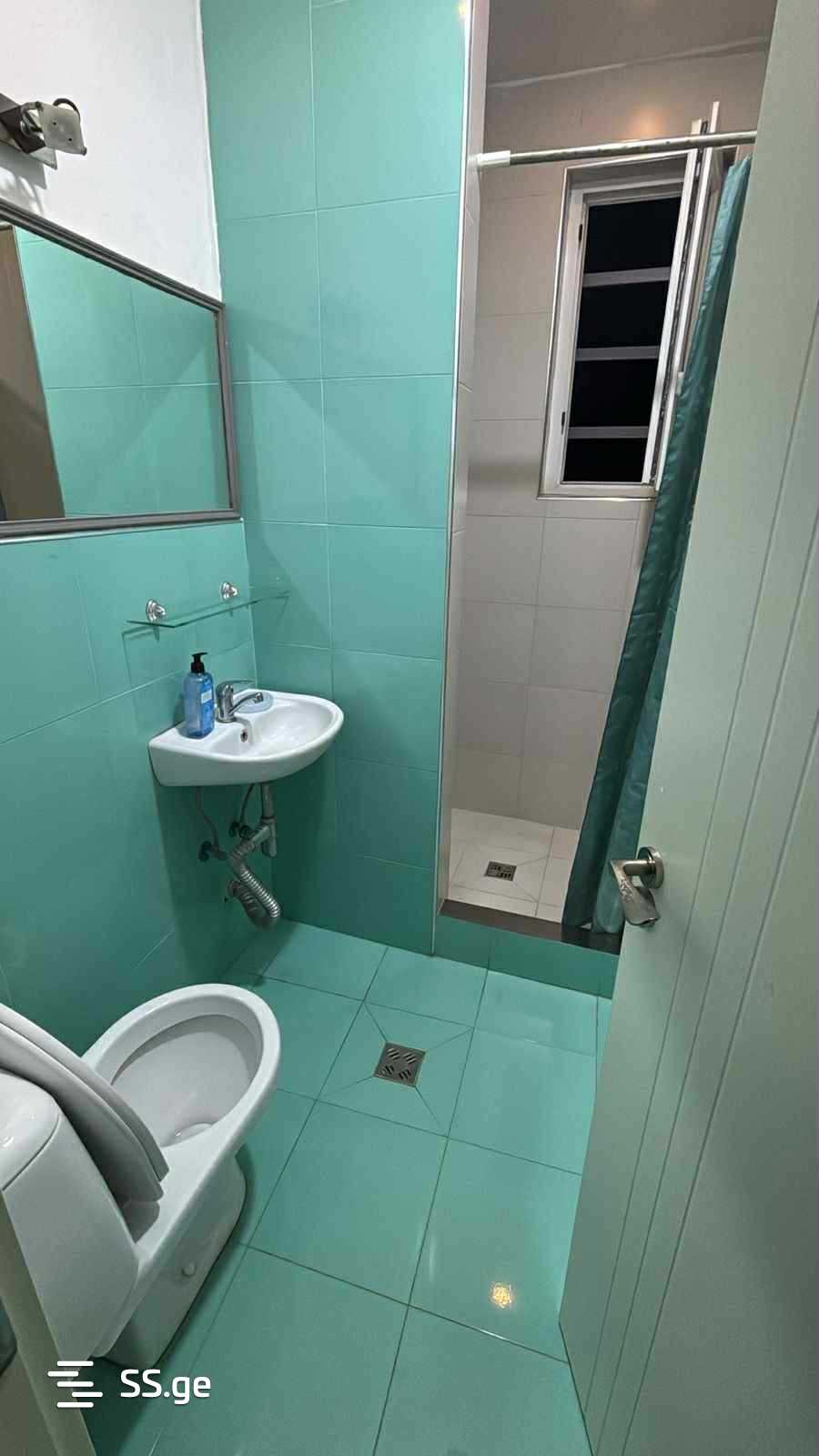 6 Room Private House Daily Rent. Shekvetili view 9