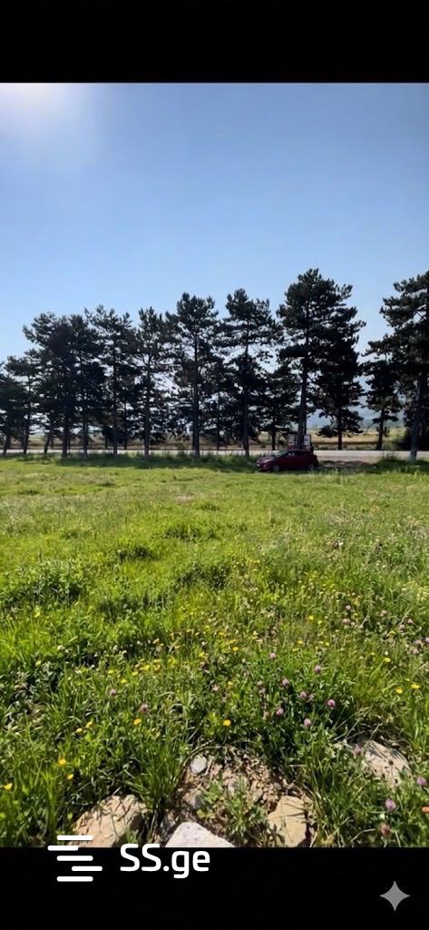 Land For Sale. Khashuri view 3