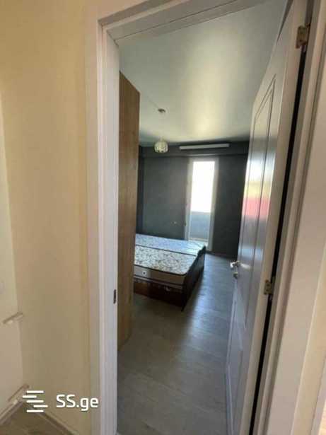 https://static.ss.ge/20260316/12_6656d152-2d30-40f7-8bcb-b1a9cec09841_Thumb.jpg