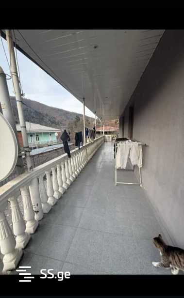 https://static.ss.ge/20260316/15_c24bb399-0532-4d0c-933e-0bf3ae5c6754_Thumb.jpg
