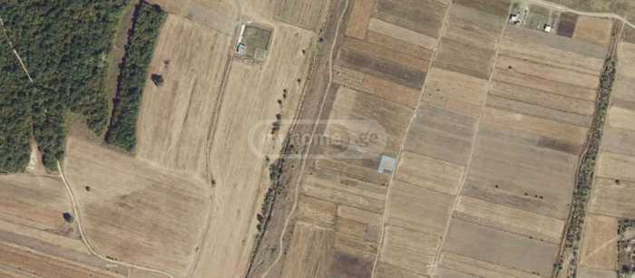 Land For Sale. Mlashe