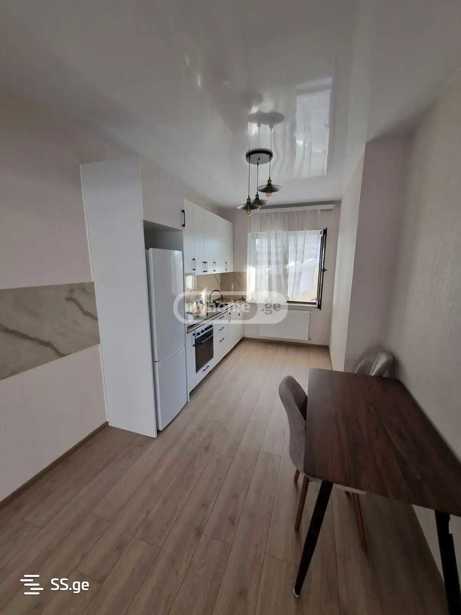 https://static.ss.ge/20260316/17_82cfc000-a0b5-4e9f-8dda-85ecbc16189b_Thumb.jpg
