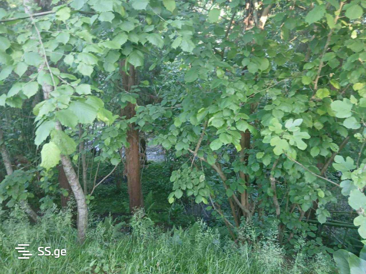 Land For Sale. Qala view 7