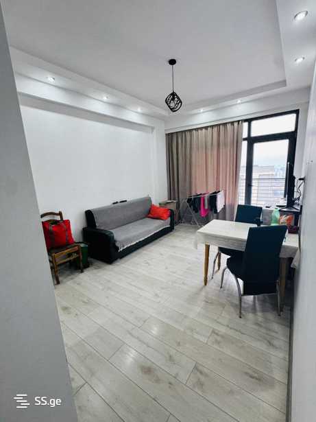https://static.ss.ge/20260316/2_a42a2743-7694-4e23-a428-a32b4a2e6bfc_Thumb.jpg