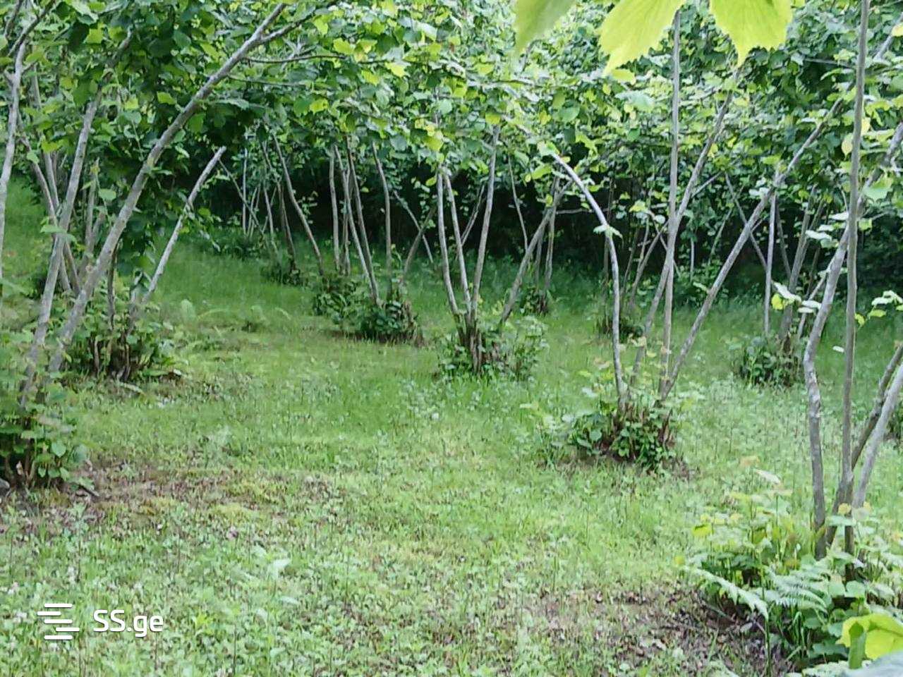 Land For Sale. Qala view 15