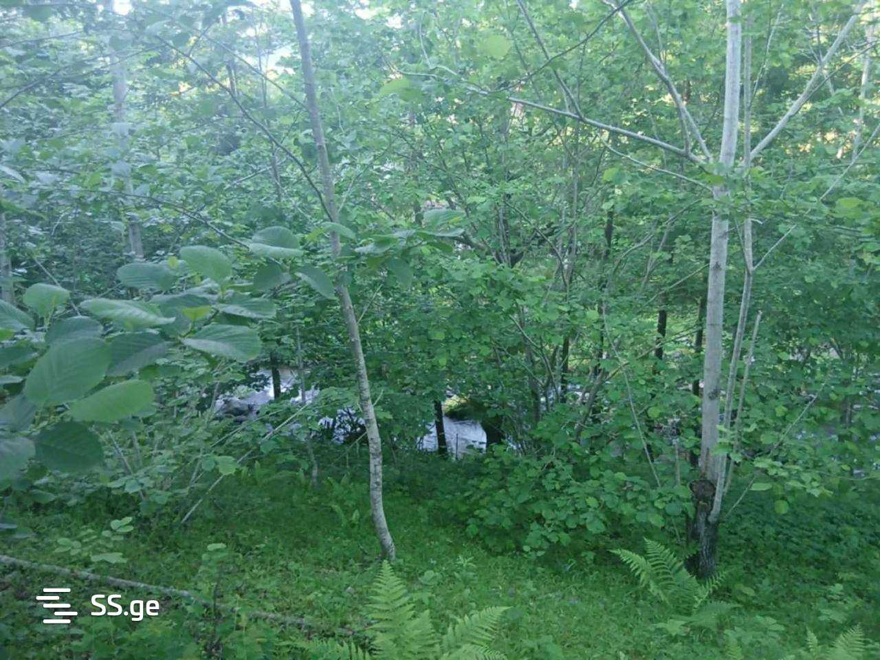 Land For Sale. Qala view 8