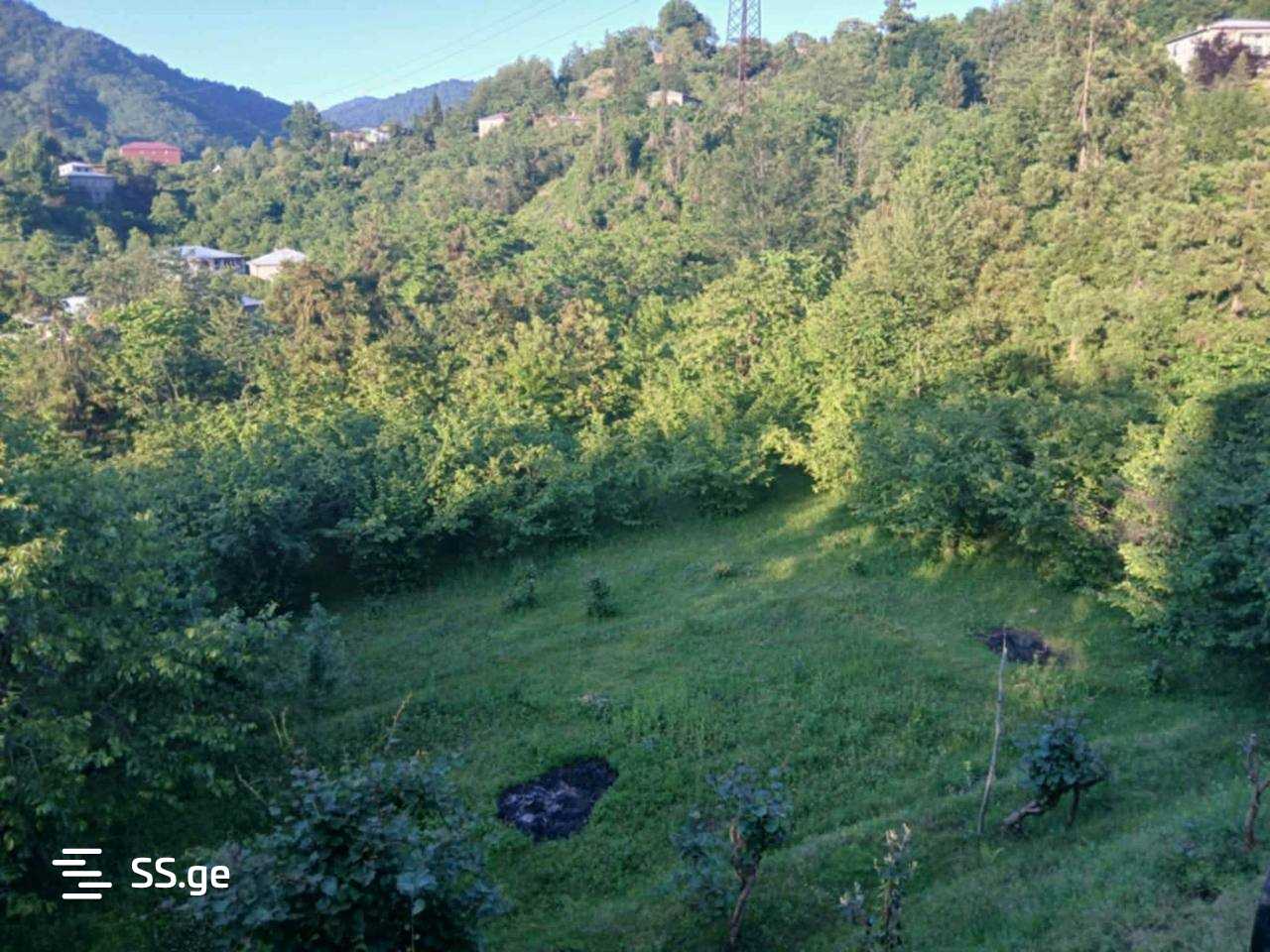 Land For Sale. Qala view 1
