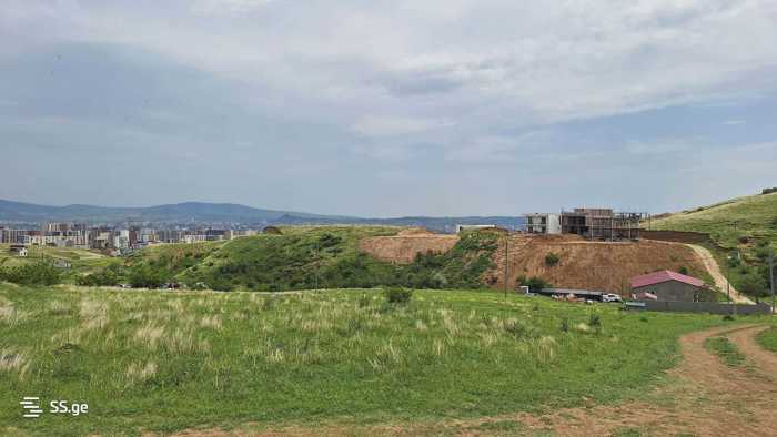https://static.ss.ge/20260316/7_c8ff948c-1ec8-4cb1-87df-fddcdb11264f_Thumb.jpg