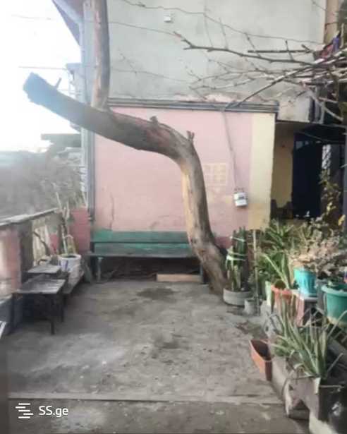 https://static.ss.ge/20260317/0_34601118-9d88-489c-9800-1c9162a50bb6_Thumb.jpg