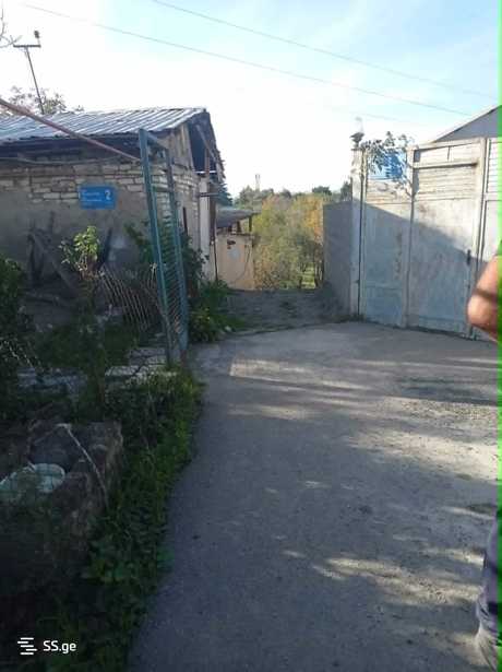 https://static.ss.ge/20260317/0_3cd5f929-bcbc-4a3c-b0ef-8673375993d2_Thumb.jpg