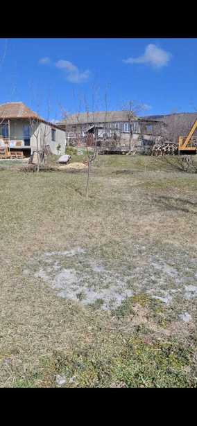 https://static.ss.ge/20260317/10_825075b0-dd81-4f56-9a8e-32fbaa5b7a07_Thumb.jpg