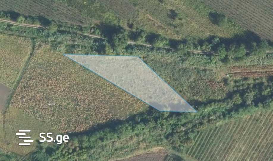For Sale Sasoplo-Sameurneo Land Plot Sighnaghshi view 5