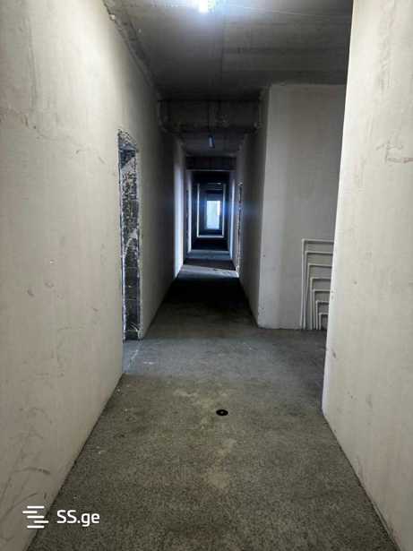 https://static.ss.ge/20260317/12_9330c3e0-7373-40c8-abad-35c509ad683d_Thumb.jpg