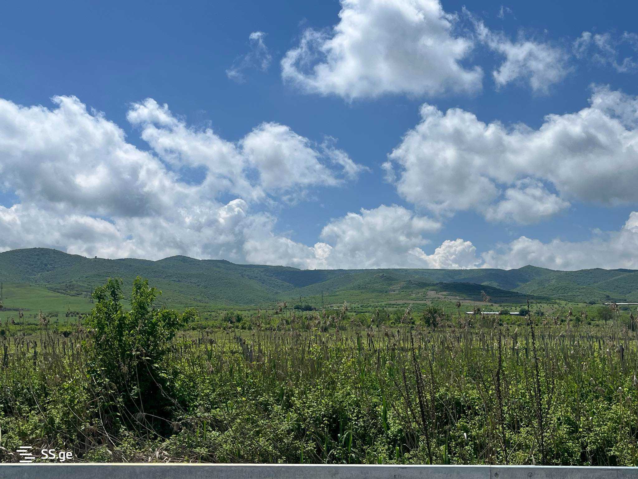 Land For Sale. Signagi view 3