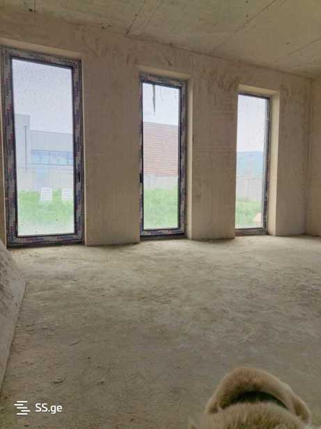 https://static.ss.ge/20260317/17_94462387-851e-474e-b17c-9f0e425538a6_Thumb.jpg