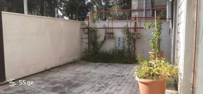 https://static.ss.ge/20260317/19_bc63d2ba-2fdd-4033-8153-9d629781a251_Thumb.jpg