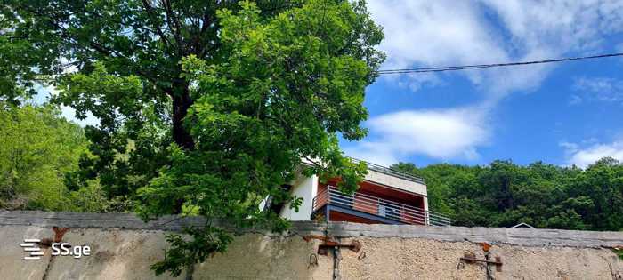 https://static.ss.ge/20260317/1_c36c0544-e52f-4cef-b91f-8e5f072a602b_Thumb.jpg