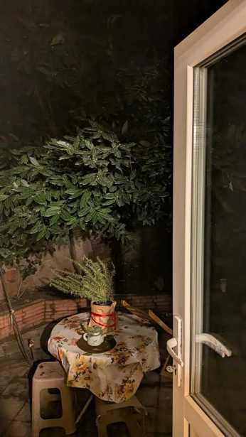 https://static.ss.ge/20260317/3_1b6669f7-bffd-463d-99b0-88b9eead4d3e_Thumb.jpg