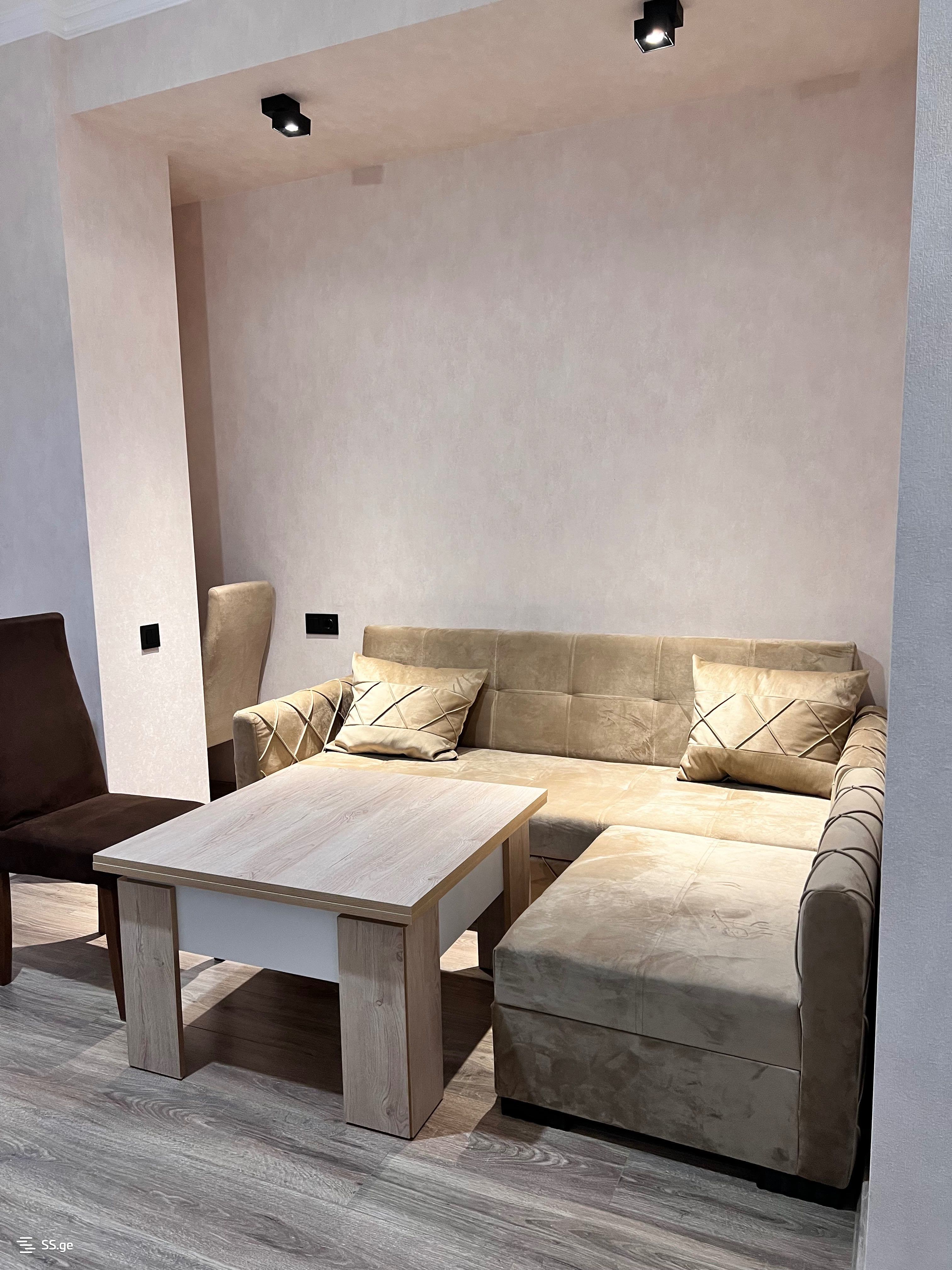 1 room Flat Daily rent. Didi digomi - Widok 6