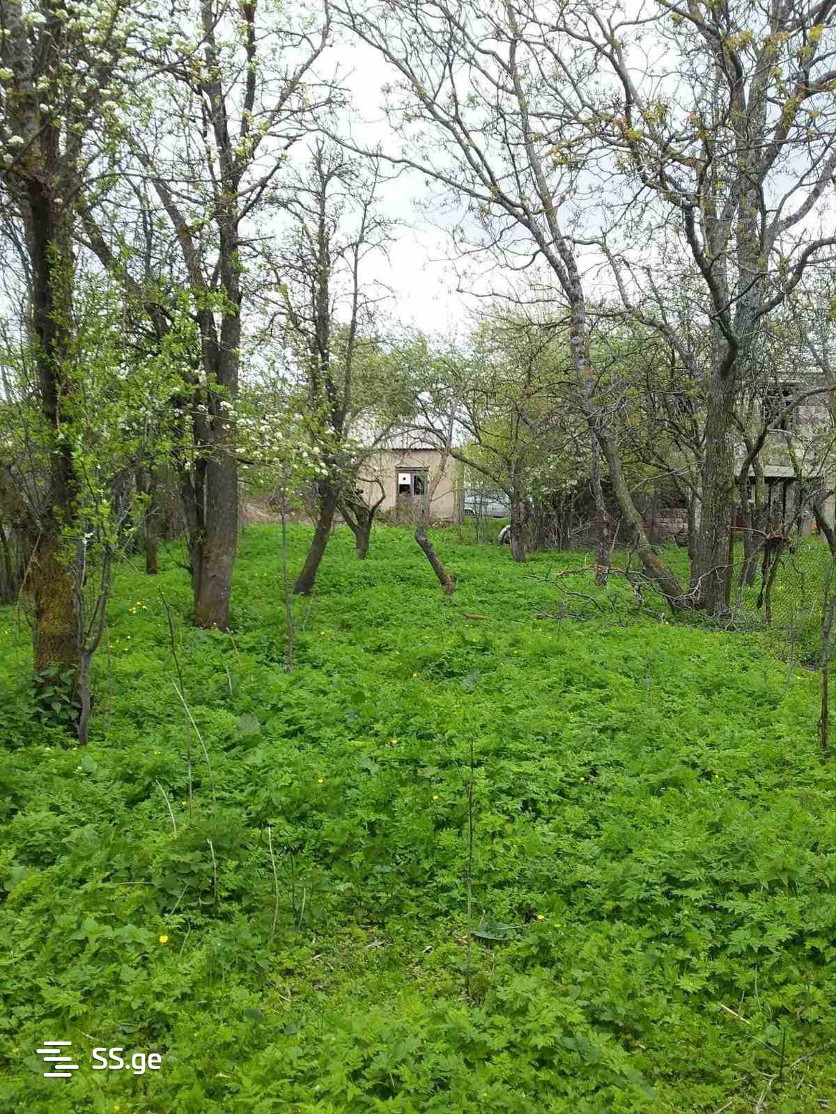 Land For Sale. Orbeti view 1