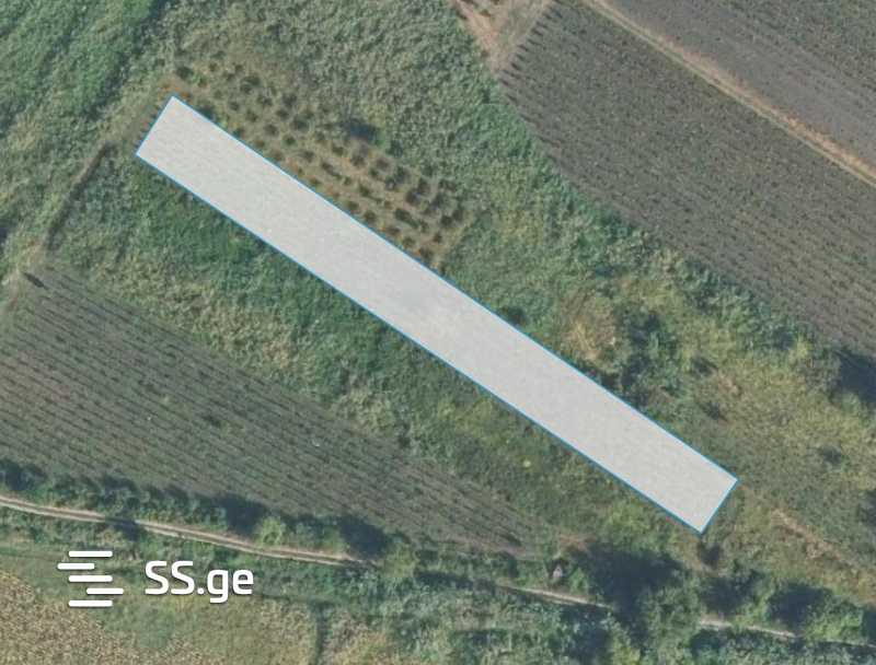 Land For Sale. Signagi view 5