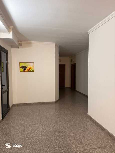 https://static.ss.ge/20260317/5_937877a7-2112-4bfd-a2be-63ac3bf8a188_Thumb.jpg
