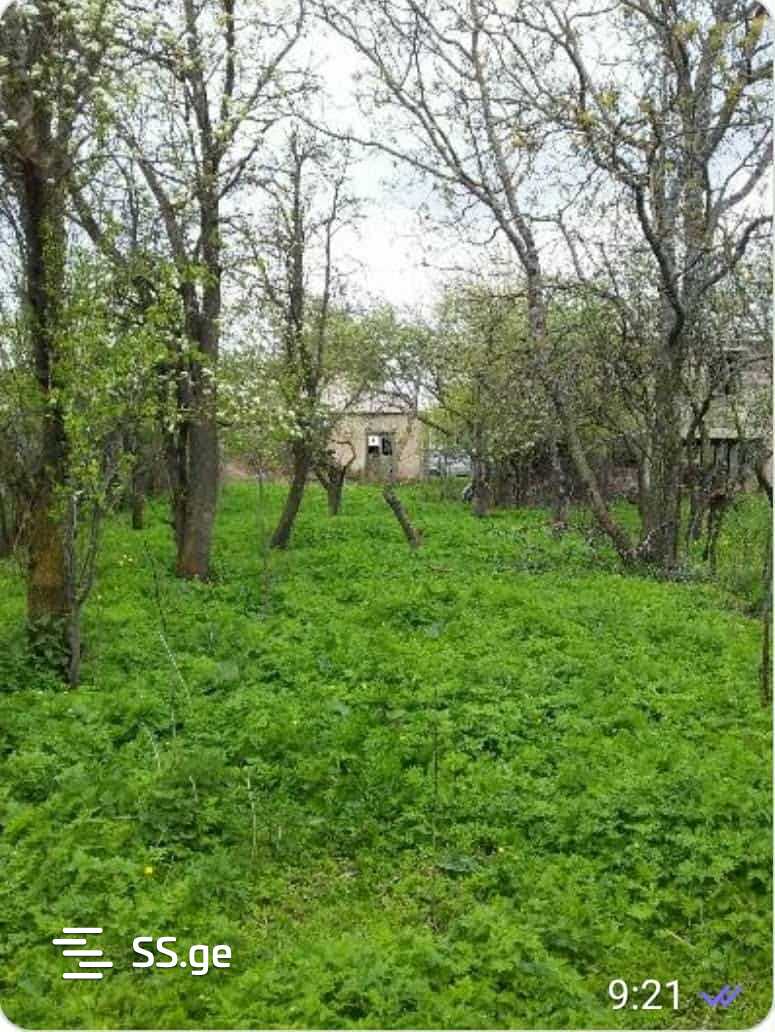 Land For Sale. Orbeti view 5