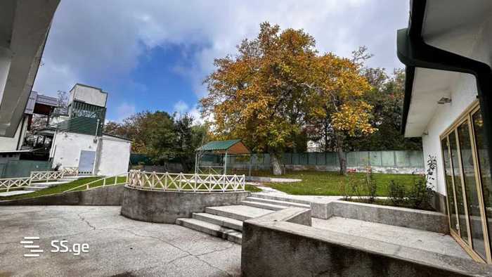 https://static.ss.ge/20260317/7_65bef57c-1136-4211-81ed-45da8f78391c_Thumb.jpg