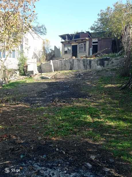 https://static.ss.ge/20260317/8_5f8115be-27ca-4746-a67a-cc52ecaba888_Thumb.jpg