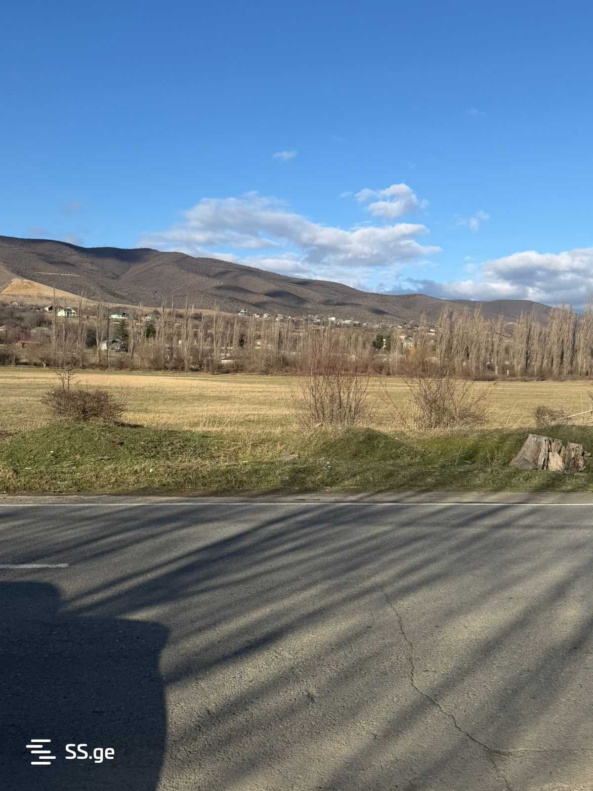 Land For Rent. Natakhtari view 3
