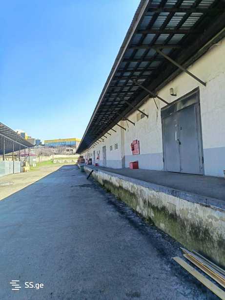 https://static.ss.ge/20260318/15_58c454f2-27cc-4207-b679-4fbf0cb9ddc5_Thumb.jpg