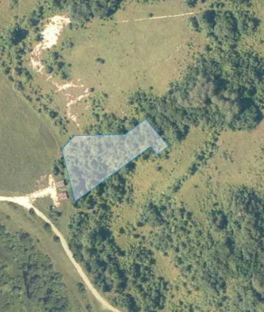 Land For Sale. Nikortsminda