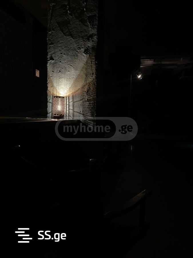 1 Room Private House Daily Rent. Digomi view 8