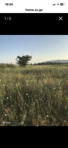 https://static.ss.ge/20260318/2_e9847aac-9516-408b-a911-007a74e26040_Thumb.jpg