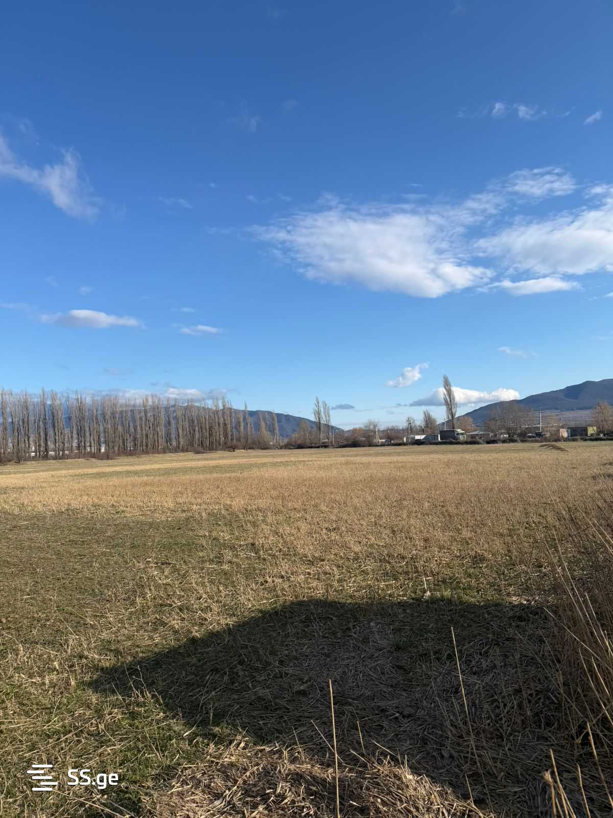 Land For Rent. Natakhtari view 4