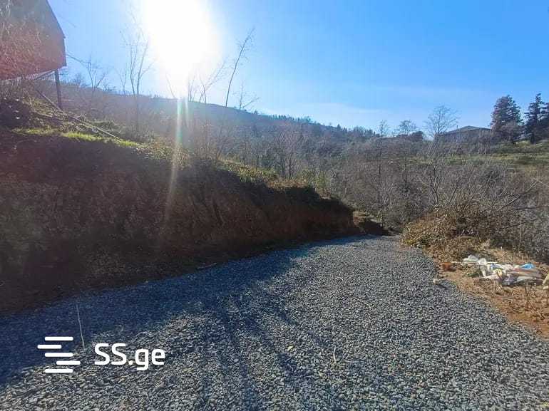 For Sale Sasoplo-Sameurneo Land Plot In Batumi view 21