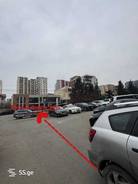 https://static.ss.ge/20260319/1_25bb0250-9ca2-4a67-9499-926f48fdb820_Thumb.jpg