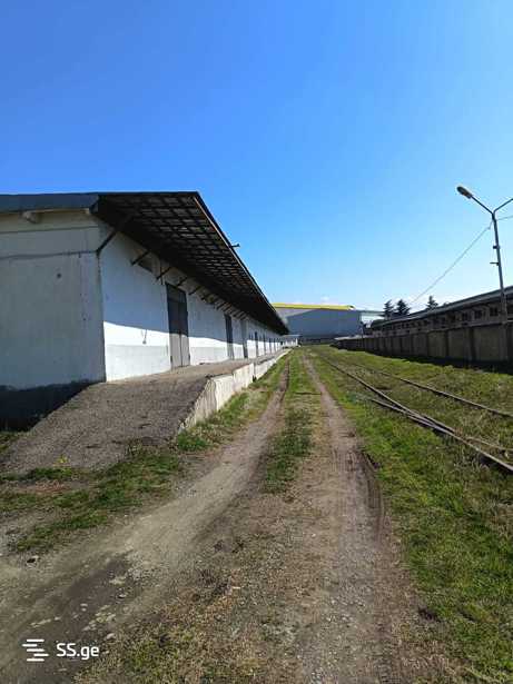 https://static.ss.ge/20260319/3_7a022101-0c18-4622-9d7a-f606b368a55c_Thumb.jpg