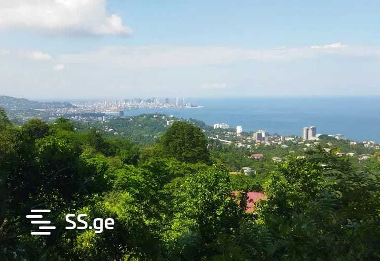 იყიდება მიწა მახინჯაურიში view 1
