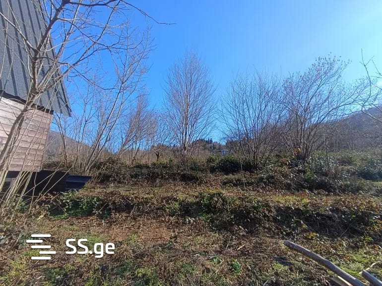 For Sale Sasoplo-Sameurneo Land Plot In Batumi view 18