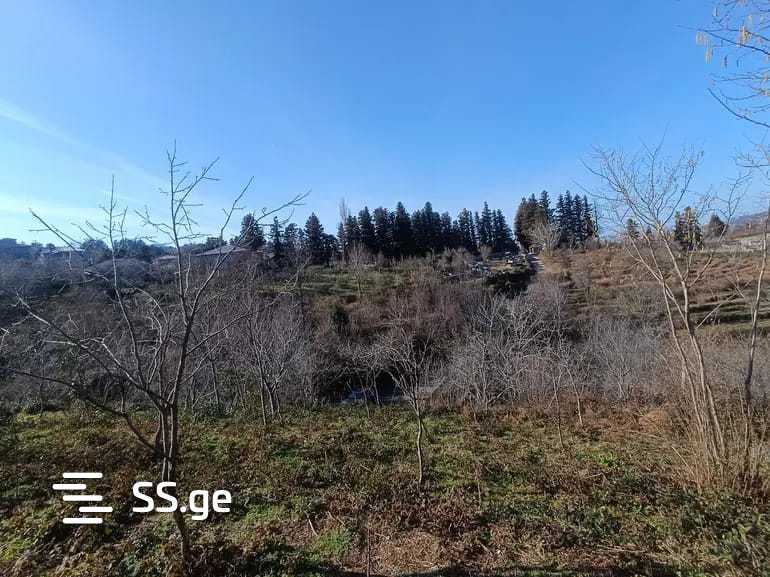 For Sale Sasoplo-Sameurneo Land Plot In Batumi view 14