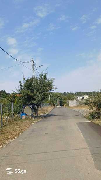 https://static.ss.ge/20260319/5_0ea8211f-c6ae-4d71-a0bb-f6200cef4b9f_Thumb.jpg