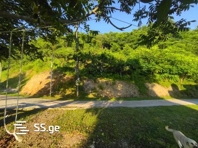 იყიდება მიწა მახინჯაურიში view 3