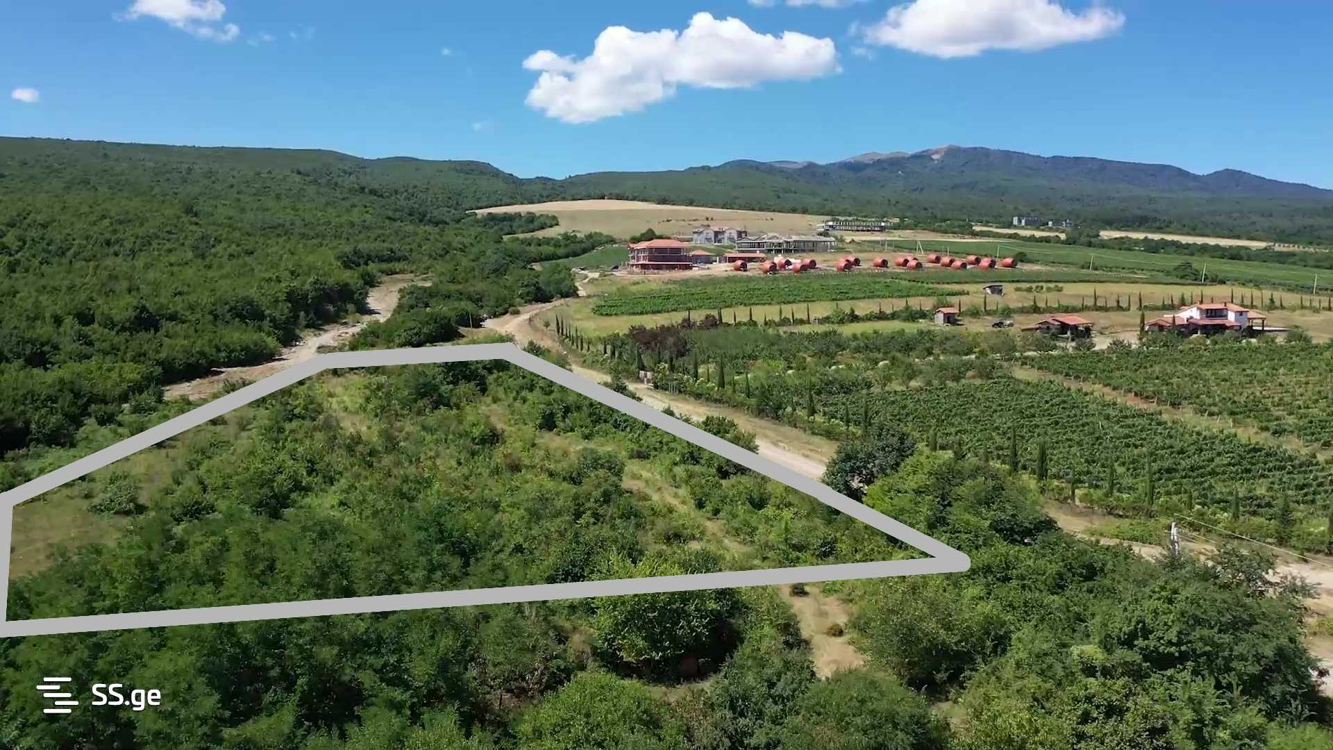 Land For Sale. Telavi, 3 of 4